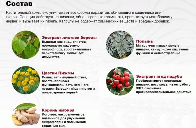 Полный состав препарата в Петропавловске-камчатском